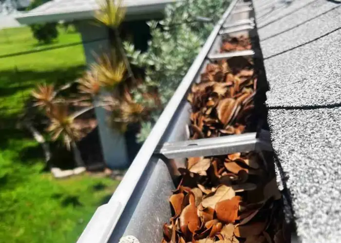 King gutter cleaning home page